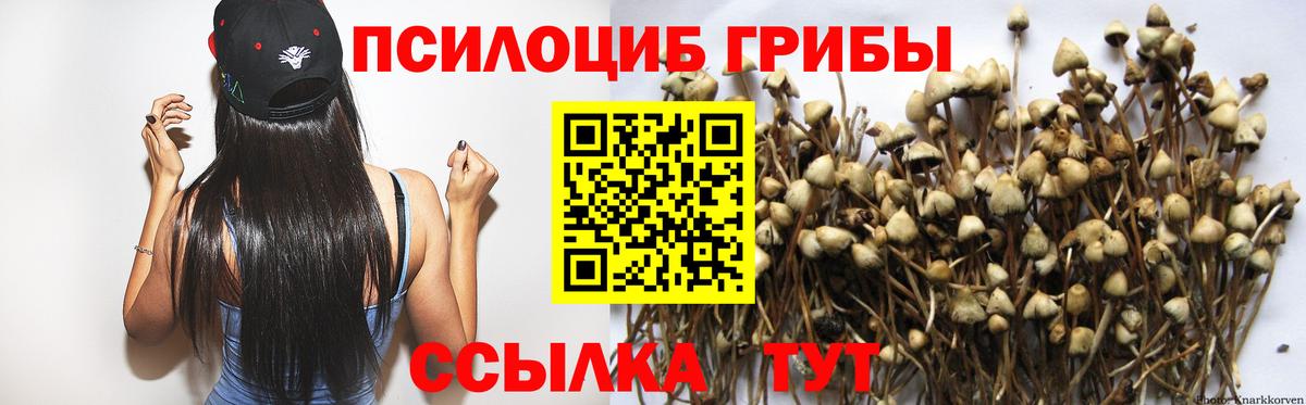 Псилоцибиновые грибы MAGIC MUSHROOMS Саратов